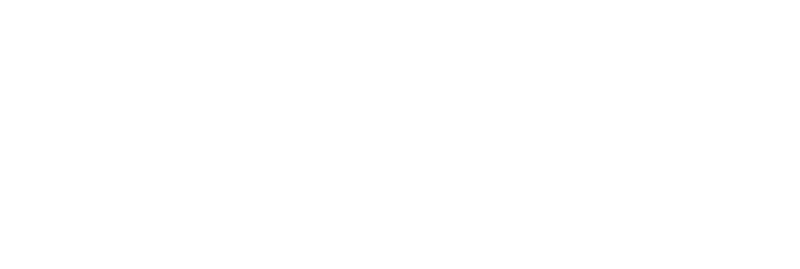 eParking_logo_white